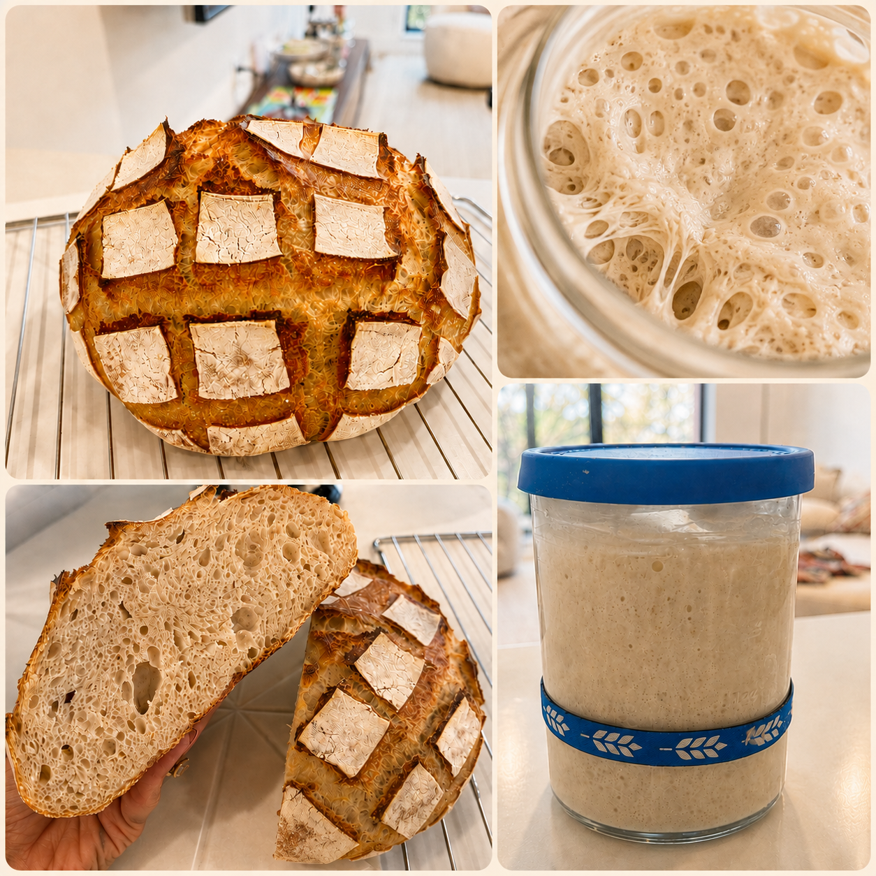Ahavat Ava's Foolproof Sourdough Starter + Chanel 25 Giveaway